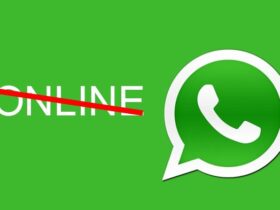 Cara Menonaktifkan WA (WhatsApp) Sementara Tanpa Mematikan Data