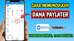 Cara Mengaktifkan DANA Paylater Terbaru 2024, Mudah!