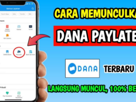 Cara Mengaktifkan DANA Paylater Terbaru 2024, Mudah!